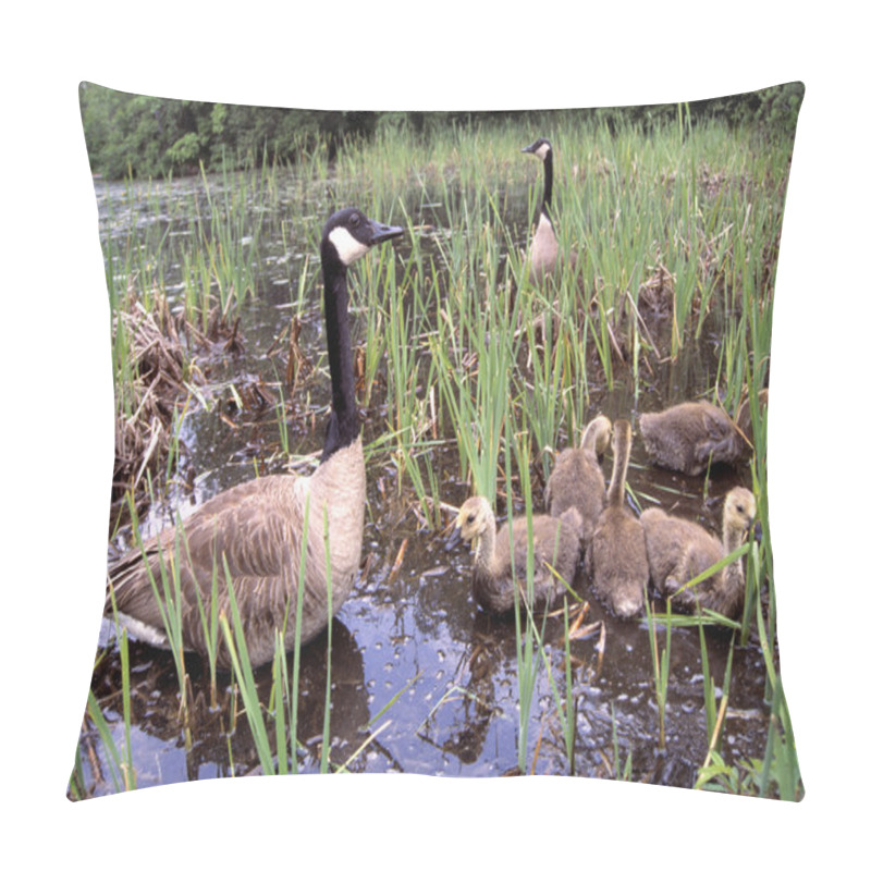 Personality  Canada Geese With Goslings Pillow Covers