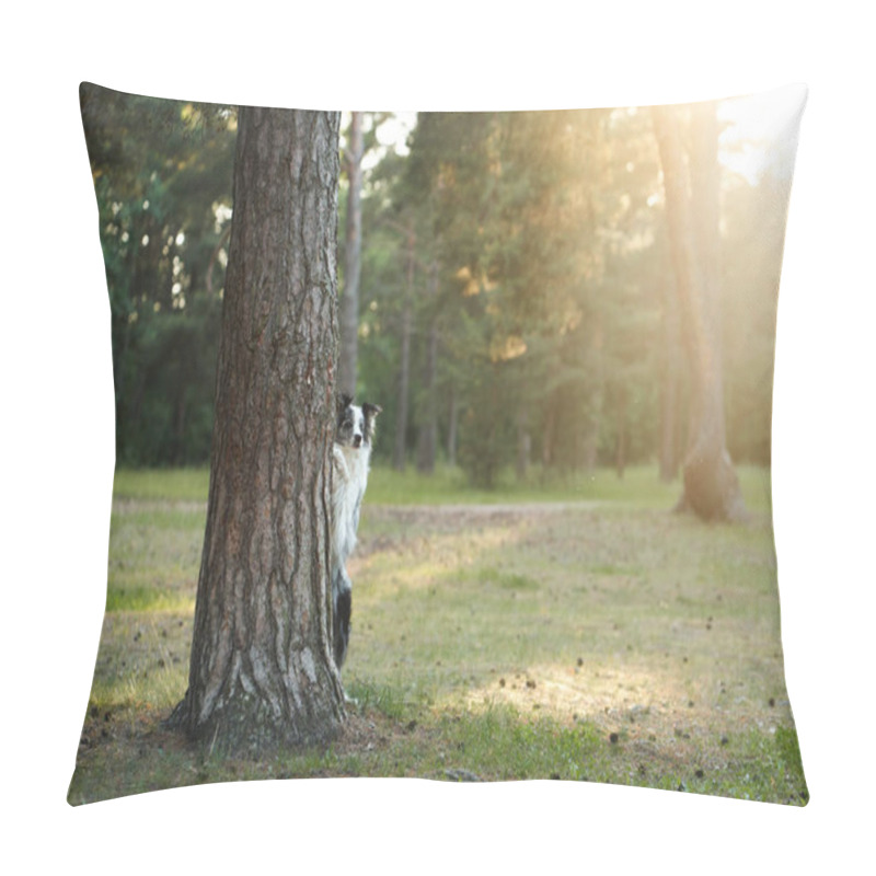 Personality  A Border Collie Peeks From Behind A Tree In A Forest Clearing, With Soft Sunlight Filtering Through. The Dogs Curious Expression And The Natural Setting Add Charm And Playfulness. Pillow Covers