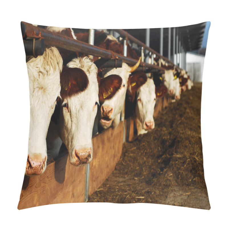 Personality  Feeding Cows Pillow Covers