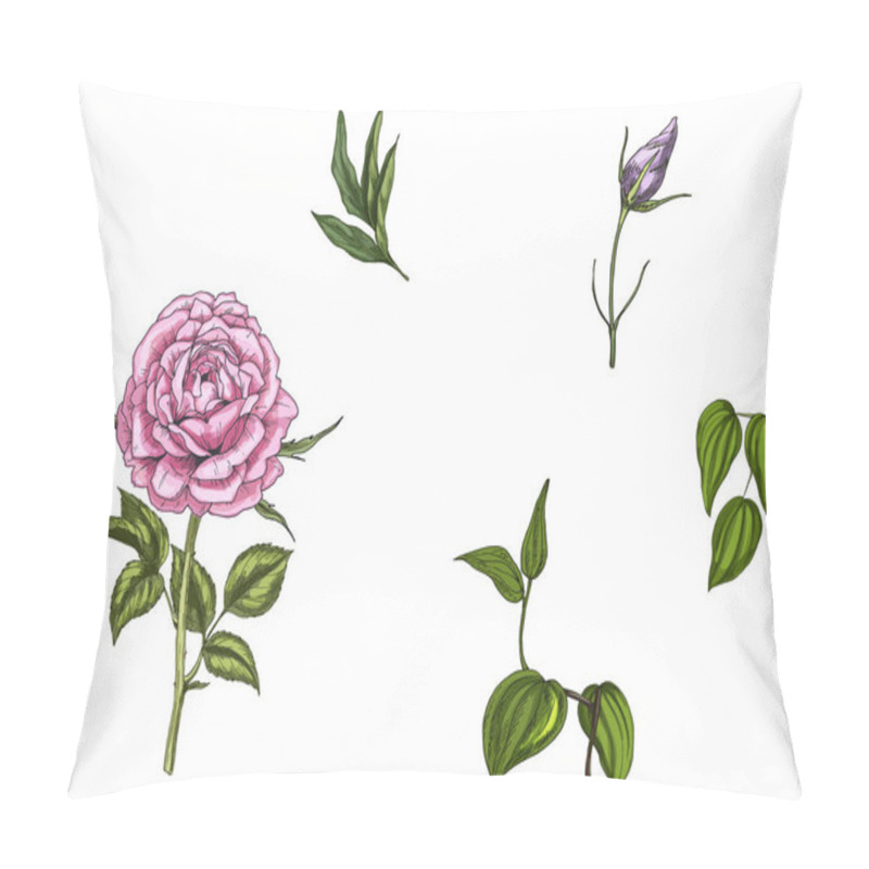 Personality  Set With Rose Flower, Leaves, Bud And Stems Isolated On White Background. Botanical Vector Illustration Pillow Covers