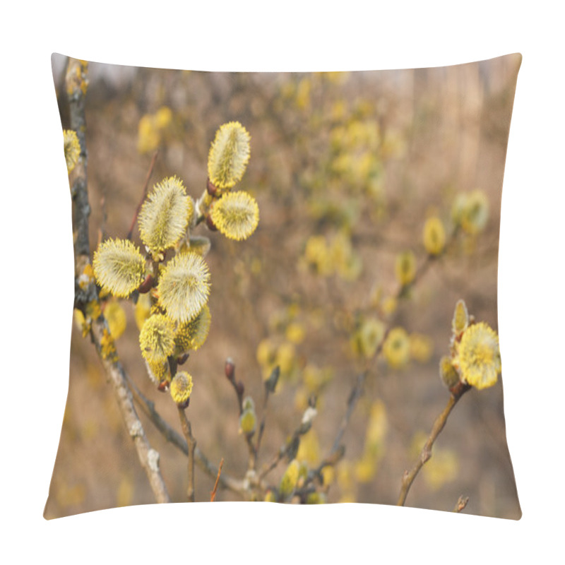 Personality  Yellow Buds Of Pussy-willow Pillow Covers