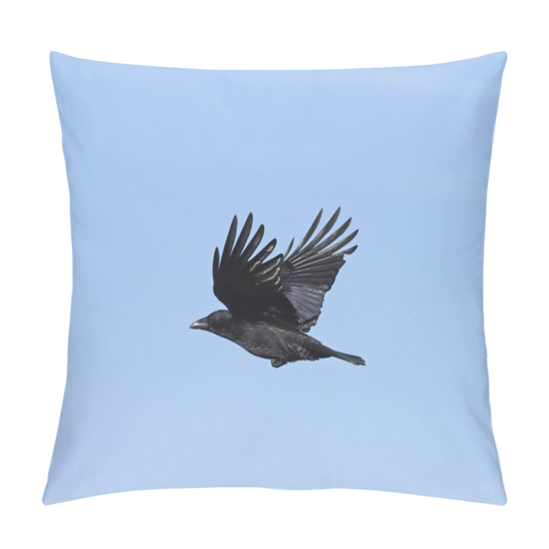 Personality  Carrion Crow, Corvus Corone Pillow Covers