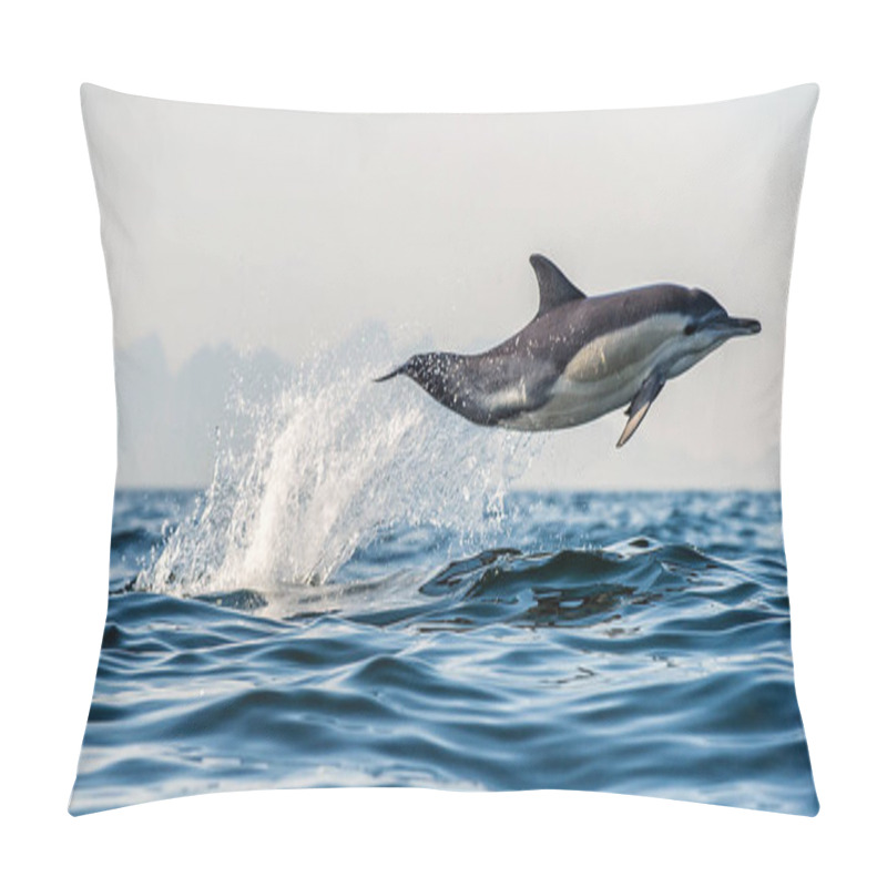 Personality  Dolphin Swimming And Jumping Out Of Water. The Long-beaked Common Dolphin. Scientific Name: Delphinus Capensis. False Bay. South Africa.  Pillow Covers