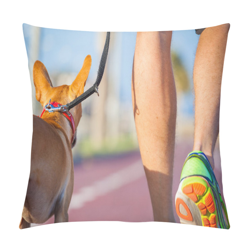 Personality  Dog And Owner Walking  Pillow Covers