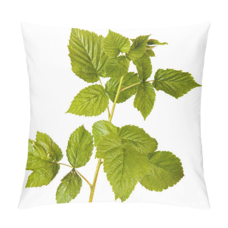 Personality  Raspberry Leaves Isolated On White Background Pillow Covers