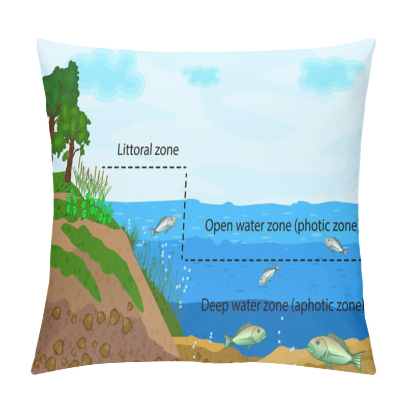 Personality  Lake Ecosystem. Zonation In Lake Water Infographic. Pond Or River Freshwater Zones Diagram With Text For Education. Lake Ecosystems Division Into Littoral, Open Water And Deep Water Zones. Stock Vector Illustration Pillow Covers