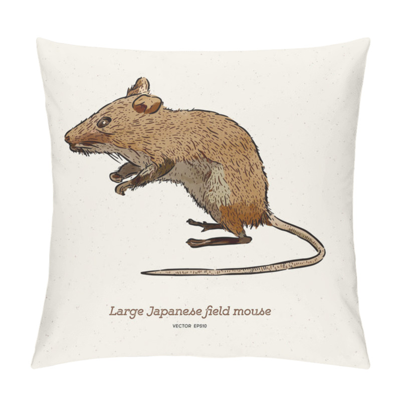 Personality  The Large Japanese Field Mouse (Apodemus Speciosus), Hand Draw S Pillow Covers