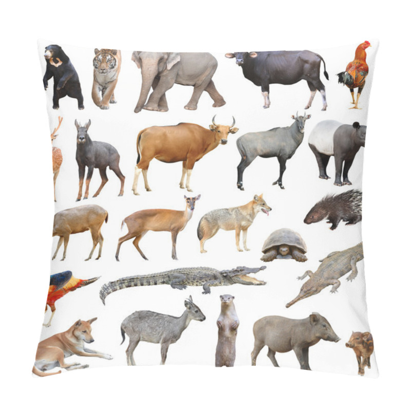 Personality  Asia Animals Isolated Pillow Covers