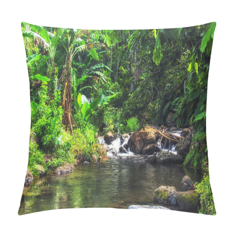 Personality  Rugged Mountain Stream Surrounded By Lush Tropical Flora In The Rainforest Of Suva, Fiji Pillow Covers