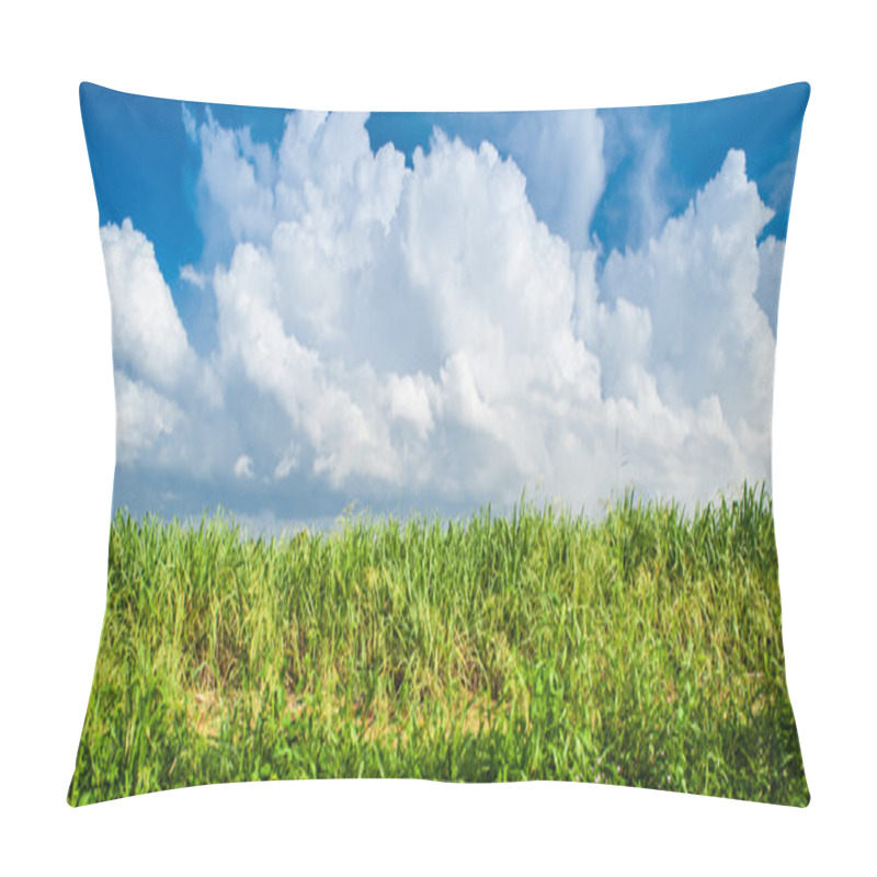 Personality  Caribbean Sugar Cane Plantations In Dominican Respublic Pillow Covers