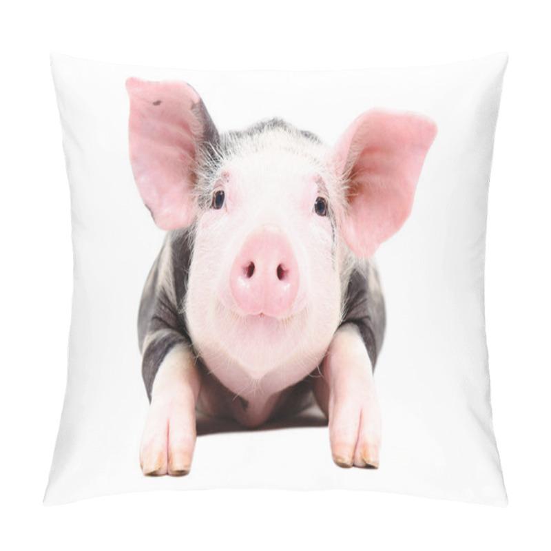 Personality  Portrait Of The Adorable Little Pig Pillow Covers