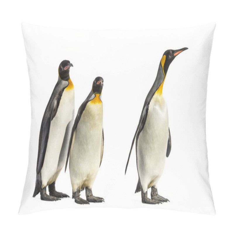 Personality  King Penguins Walking In A Row, Isolated Pillow Covers