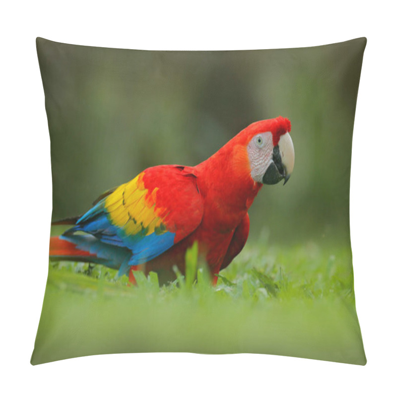 Personality  Parrot Scarlet Macaw Ara  Pillow Covers