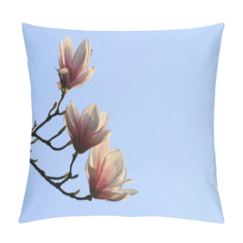 Personality  Magnolia Blossom, Flowers Bloom Pillow Covers