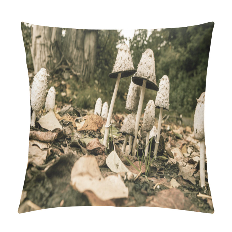 Personality  Shaggy Mane Mushrooms Pillow Covers