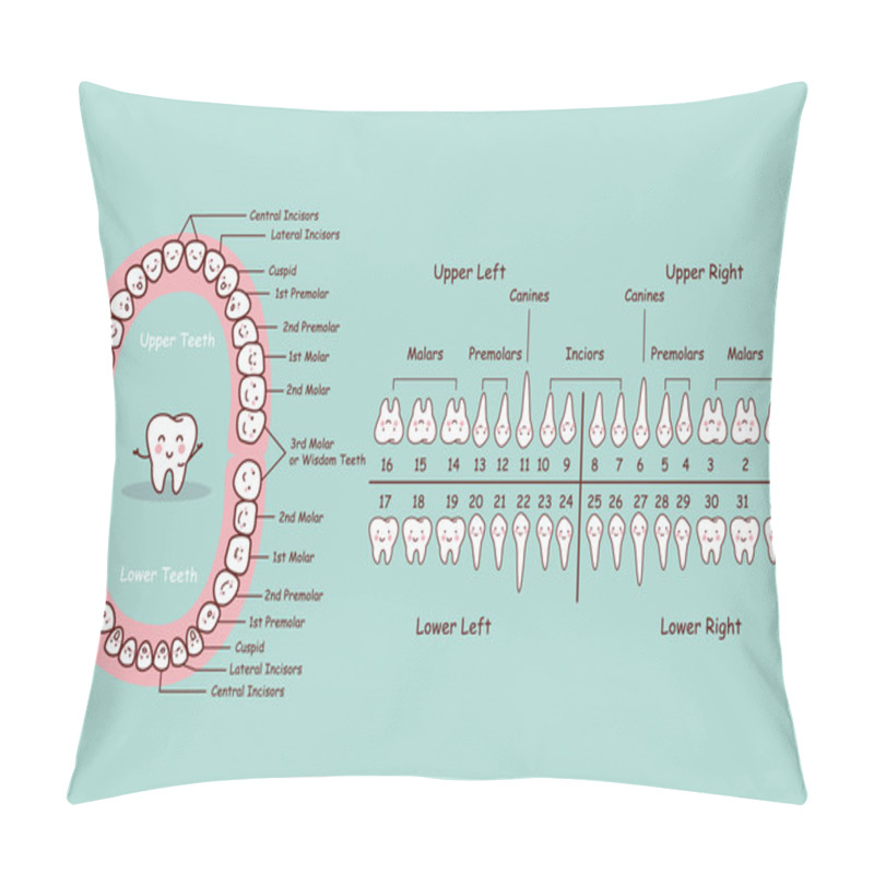 Personality  Permanent Tooth Cartoon Chart Pillow Covers