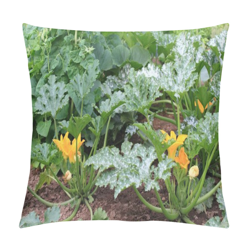 Personality  Organic Permaculture  Garden  Pillow Covers