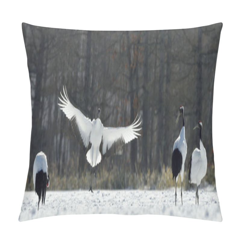 Personality  Dancing Cranes. The Red-crowned Cranes (Sceincific Name: Grus Japonensis), Also Called The Japanese Cranes Or Manchurian Crane, Is A Large East Asian Cranes. Pillow Covers