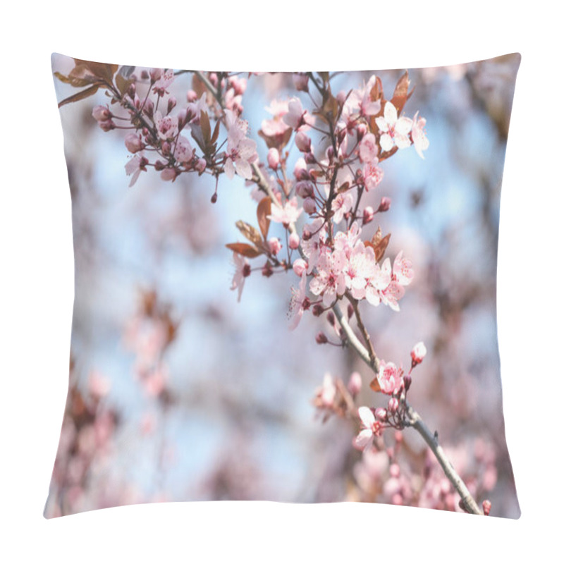 Personality  Beautiful Spring Pink Blossoms On Tree Branches Against Blue Sky. Space For Text Pillow Covers