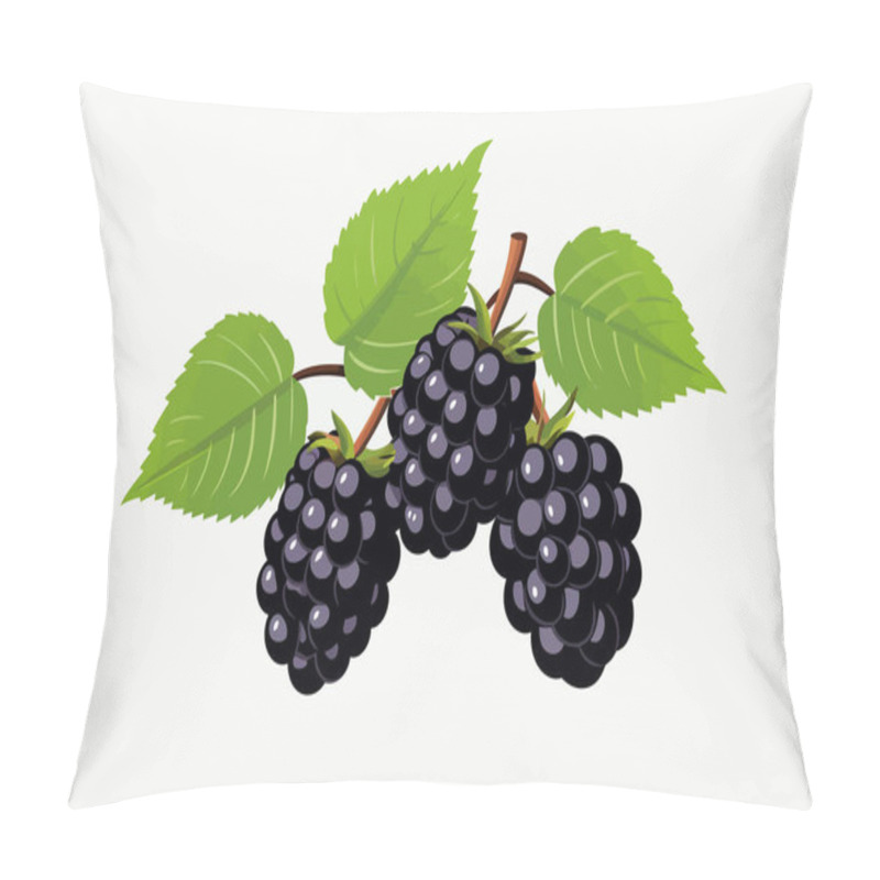 Personality  Blackberry Vector Flat Minimalistic Isolated Vector Style Illustration Pillow Covers