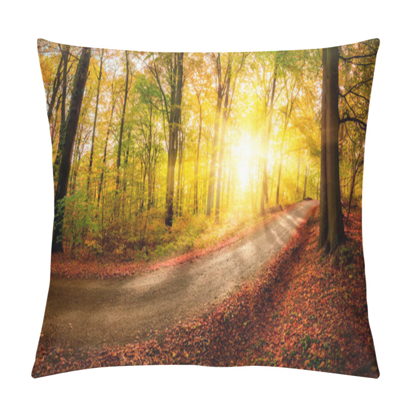 Personality  Sunlit Forest Path Before Sunset Pillow Covers