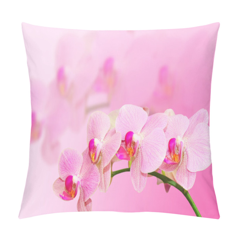 Personality  Fragle Soft Toned Orchid Flower On Blurred Background Pillow Covers