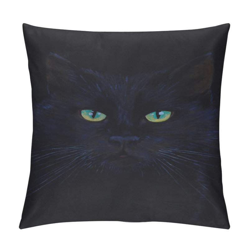 Personality  Drawing Of A Black Cat, Oil Painting, Cat's Eyes Pillow Covers