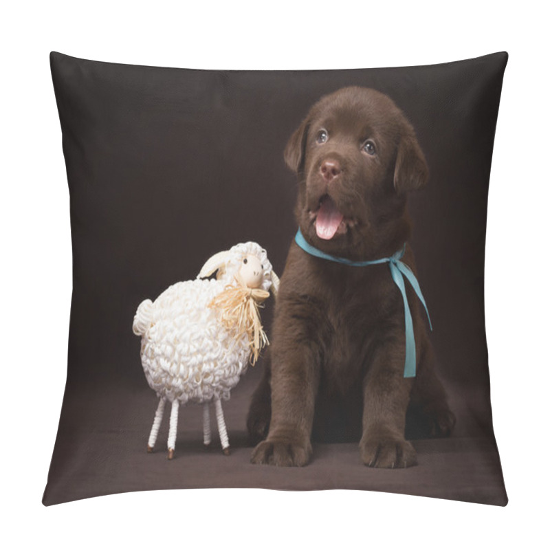 Personality  Chocolate Labrador Puppy Sitting Next To White Decorative Sheep On A Brown Background. Pillow Covers