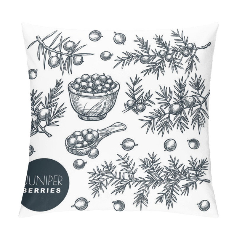 Personality  Juniper Berries On Branch And In Wooden Basket, Sketch Vector Illustration. Spice, Aromatherapy, Natural Herbal Medicine Coniferous Plant. Hand Drawn Isolated Design Elements. Pillow Covers