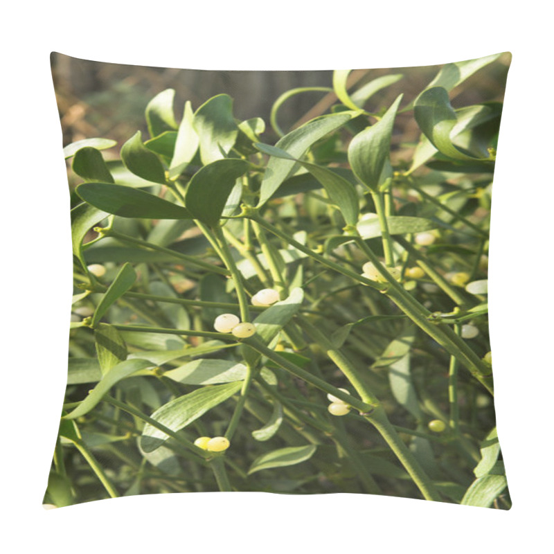 Personality  Mistletoe Plant Pillow Covers