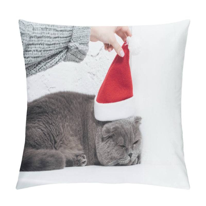 Personality  Cropped View Of Woman Putting Santa Hat On Cute Scottish Fold Cat Pillow Covers