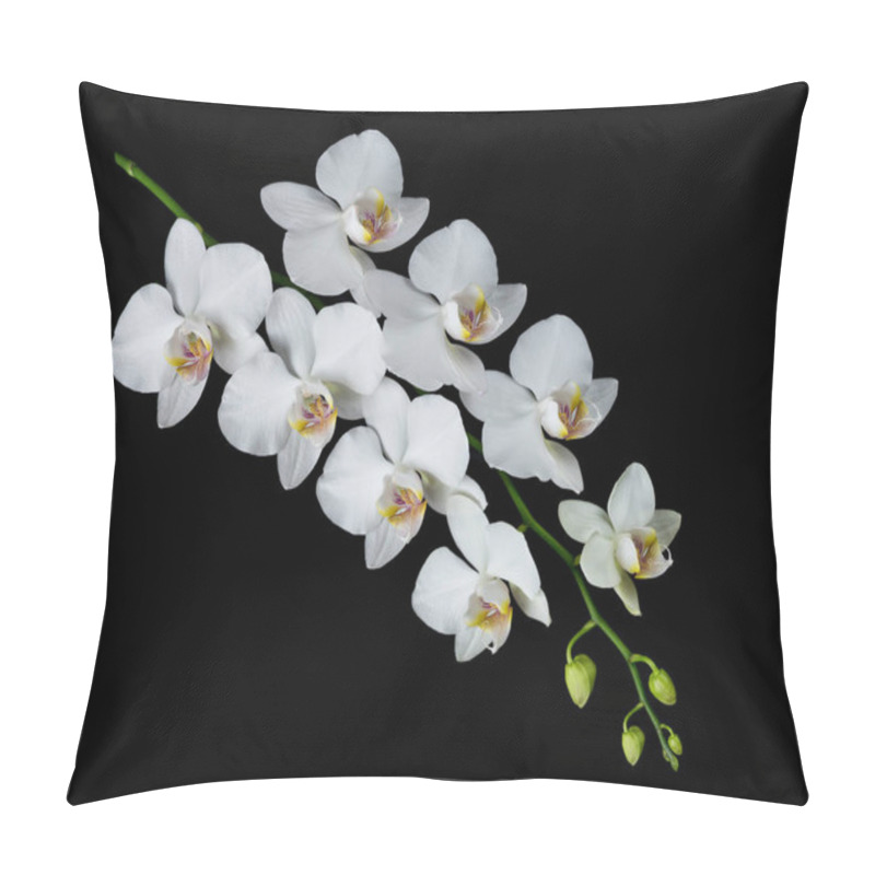 Personality  Moth Orchid On Black Pillow Covers