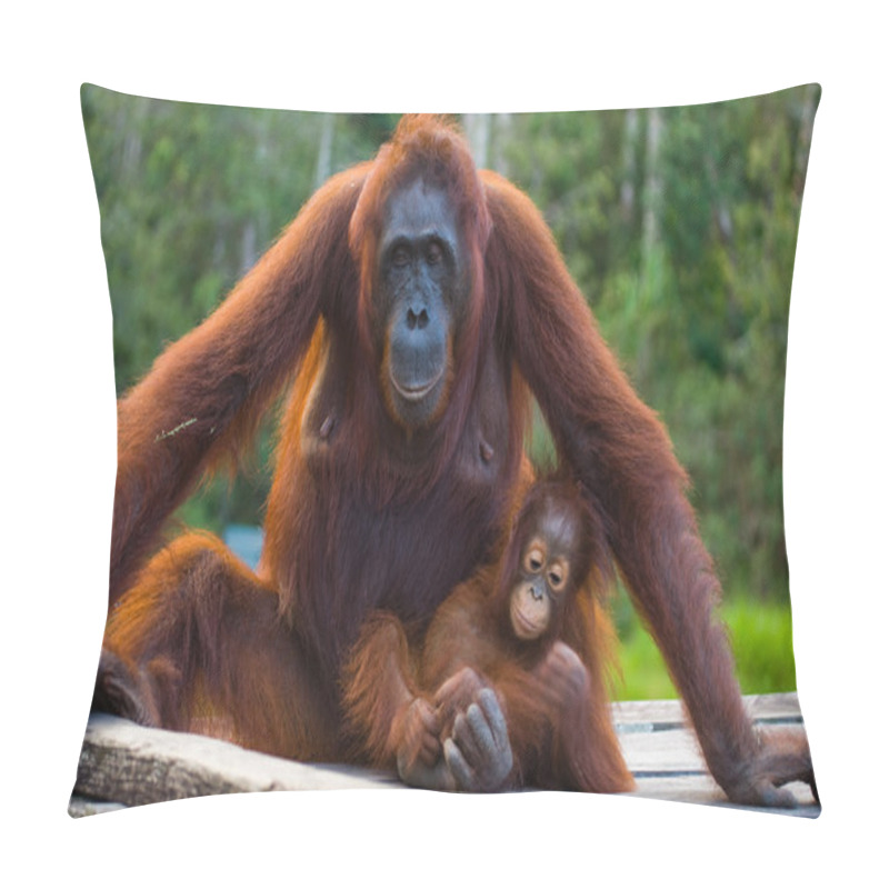 Personality  Orangutan Mother And Baby Pillow Covers