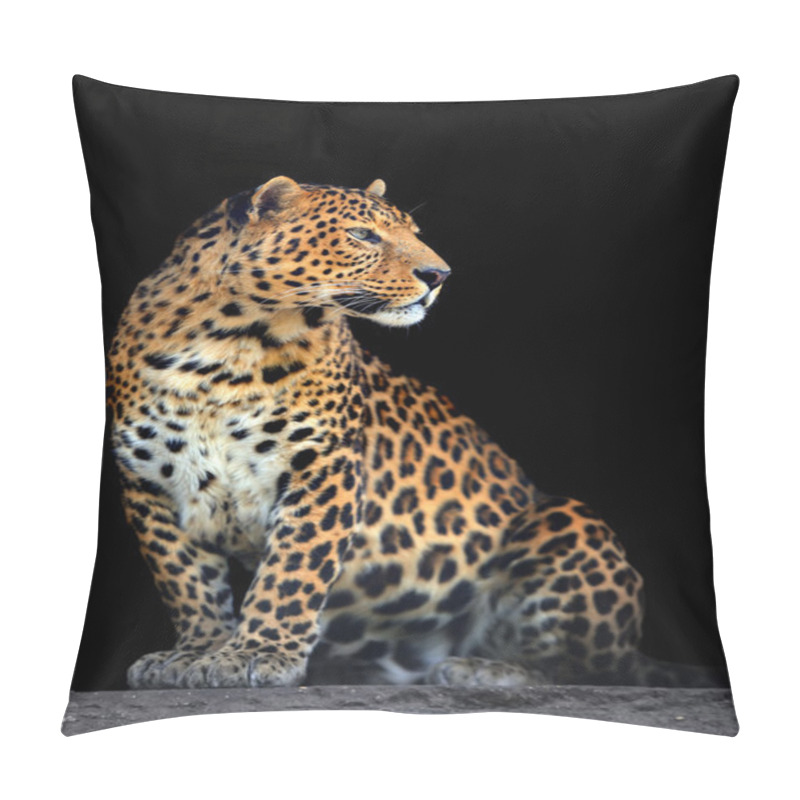 Personality  Leopard Portrait On Dark Background Pillow Covers