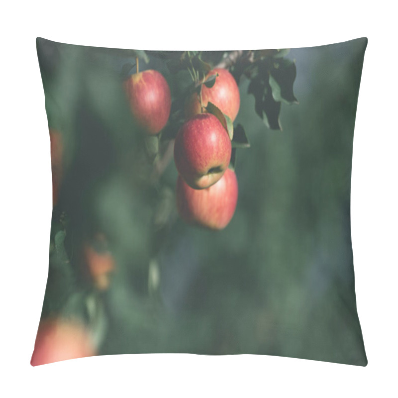 Personality  Selective Focus Of Ripe Red Apples On Tree Branches In Garden Pillow Covers