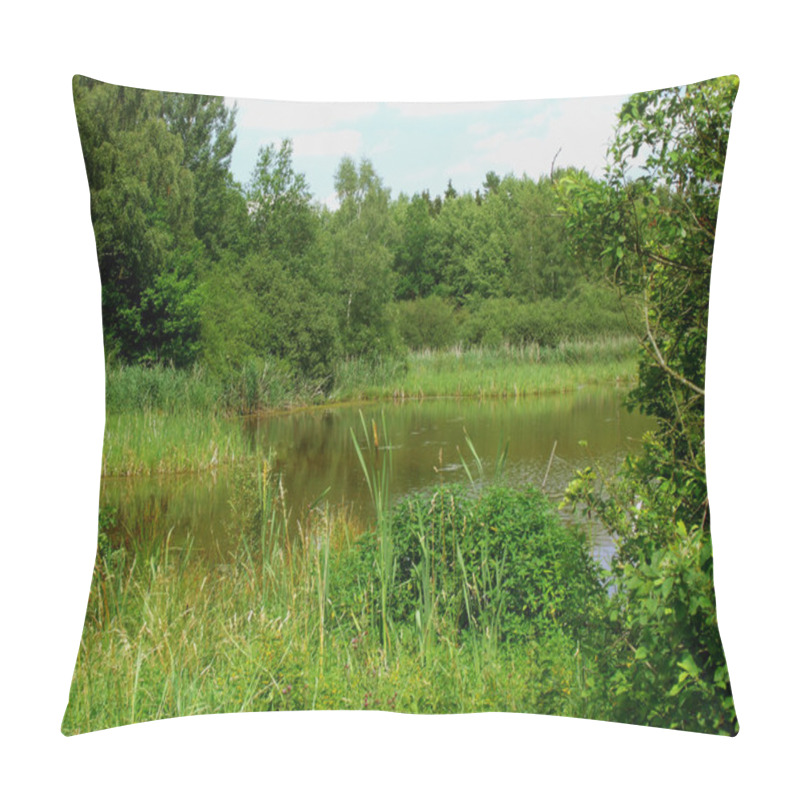 Personality  Frog Pond Surrounded By Rushes Landscape Pillow Covers