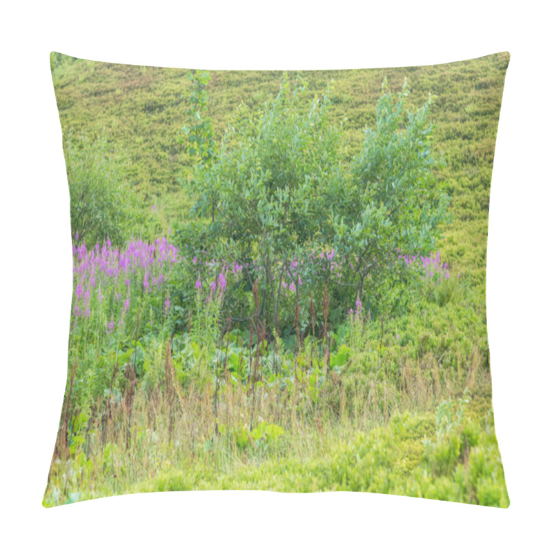 Personality  Capturing The Vibrant Display Of Fireweed Flowers In Full Bloom On A Meadow In The Carpathian Mountains, Showcasing The Beauty Of The Alpine Region Pillow Covers