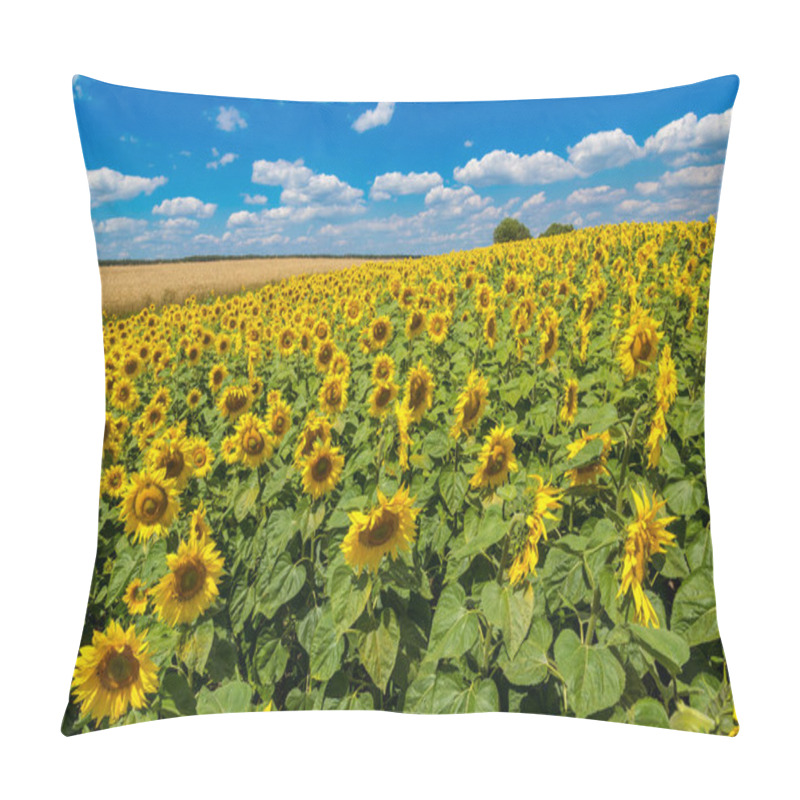 Personality  Beautiful Sunflowers On Blue Sky Pillow Covers