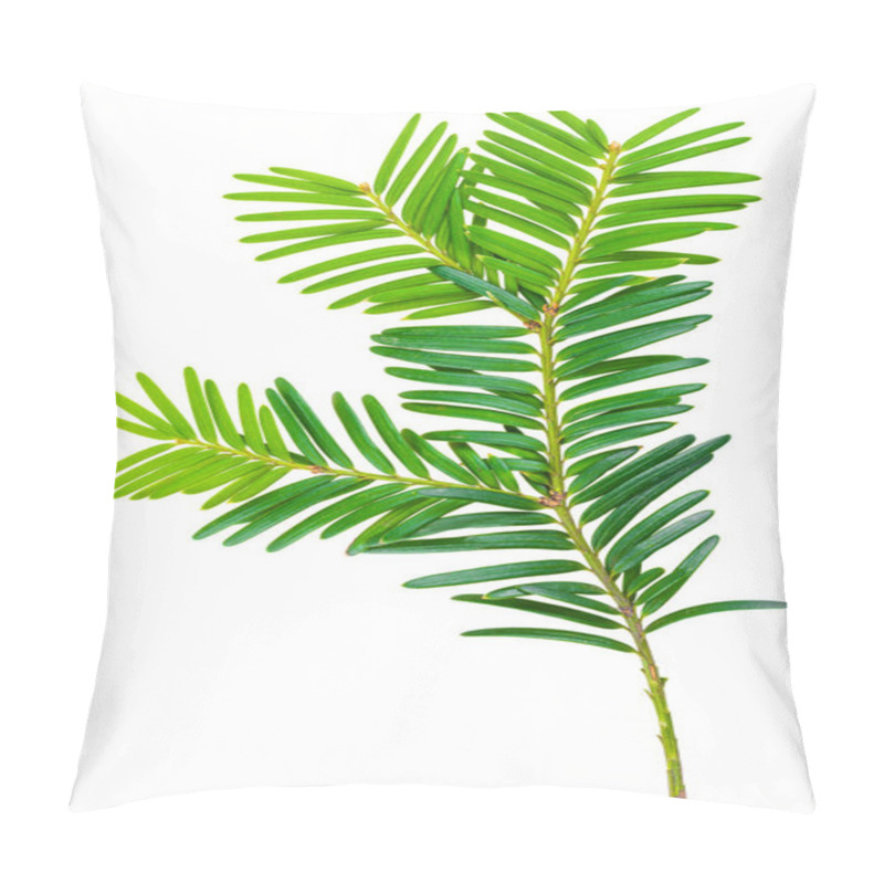 Personality  Yew Twig Isolated On White Background Pillow Covers