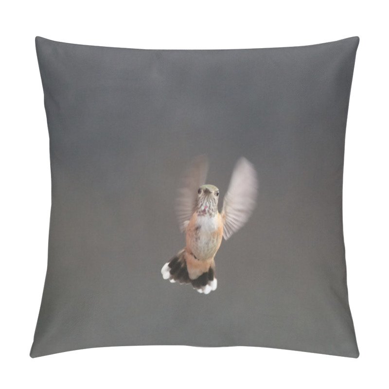 Personality  Flying Machine Pillow Covers