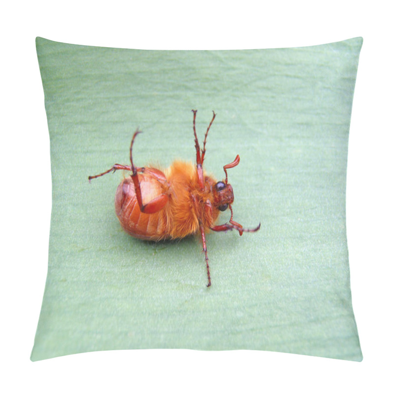 Personality  May-bug On A Green Leaflet, Macro. Pillow Covers