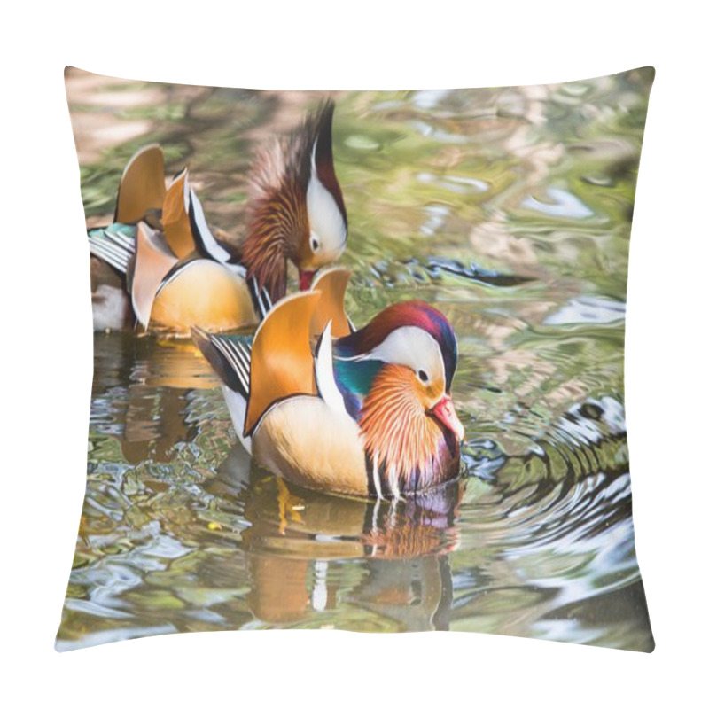 Personality  Mandarin Duck In The Zoo Pillow Covers