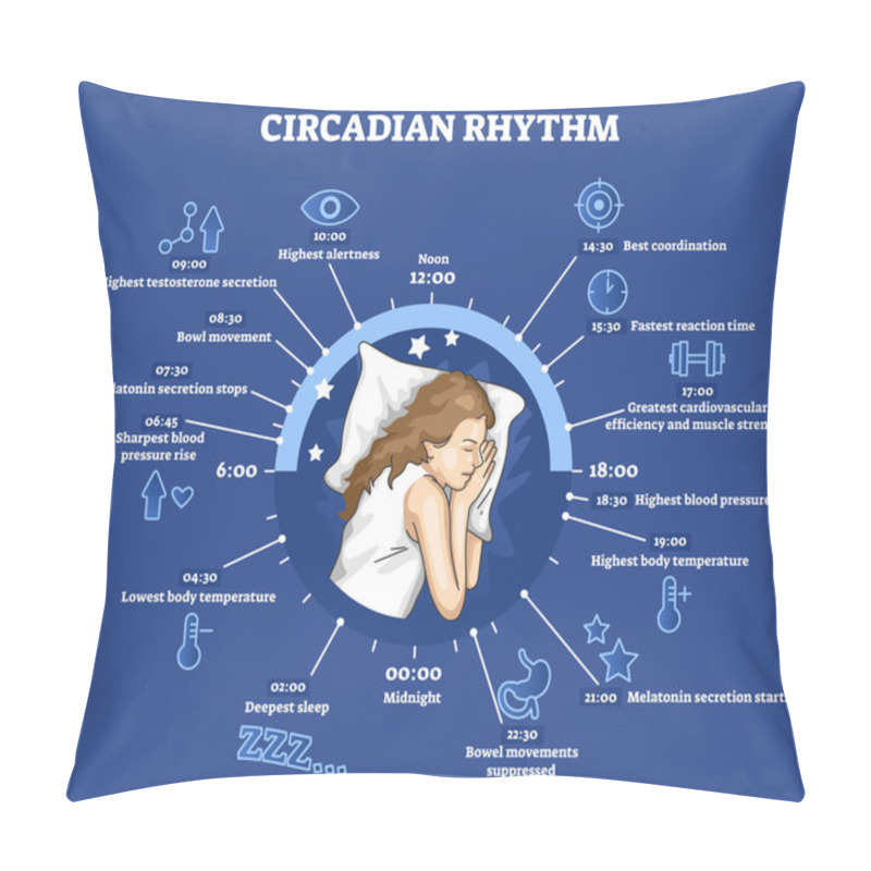 Personality  Circadian Rhythm As Educational Natural Cycle For Healthy Sleep And Routine Pillow Covers