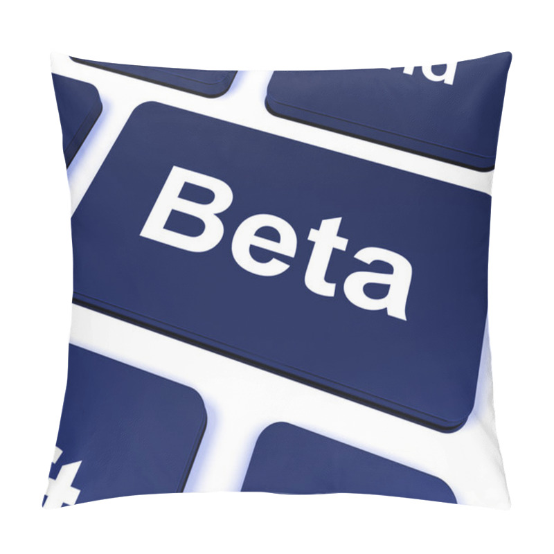 Personality  Beta Key Shows Development Or Demo Version Pillow Covers