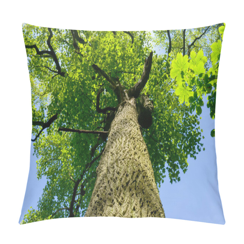 Personality  Old Tree Pillow Covers