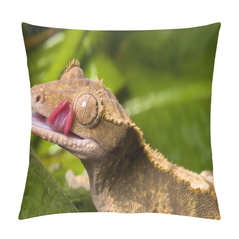 Personality  Crested Gecko Pillow Covers