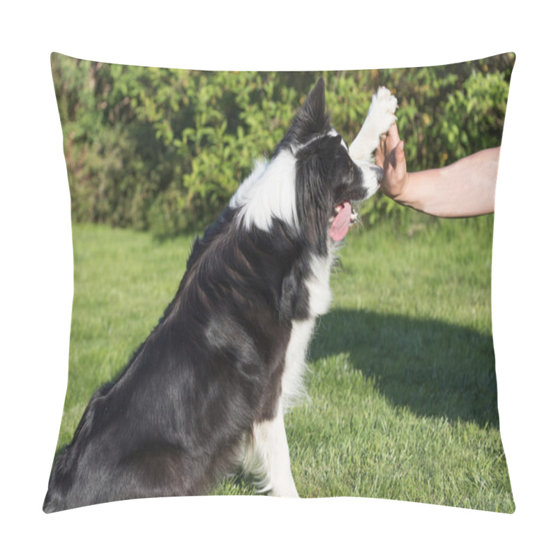 Personality  High Five With The Border Collie Pillow Covers