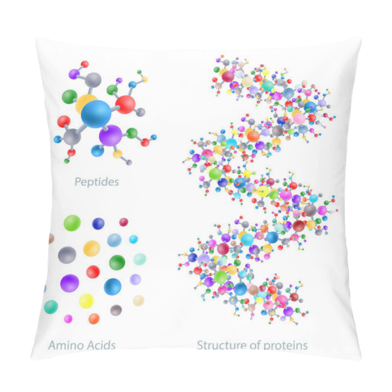 Personality  Structure Of Protein, Peptides, Amino Acids, Vector Illustration Pillow Covers