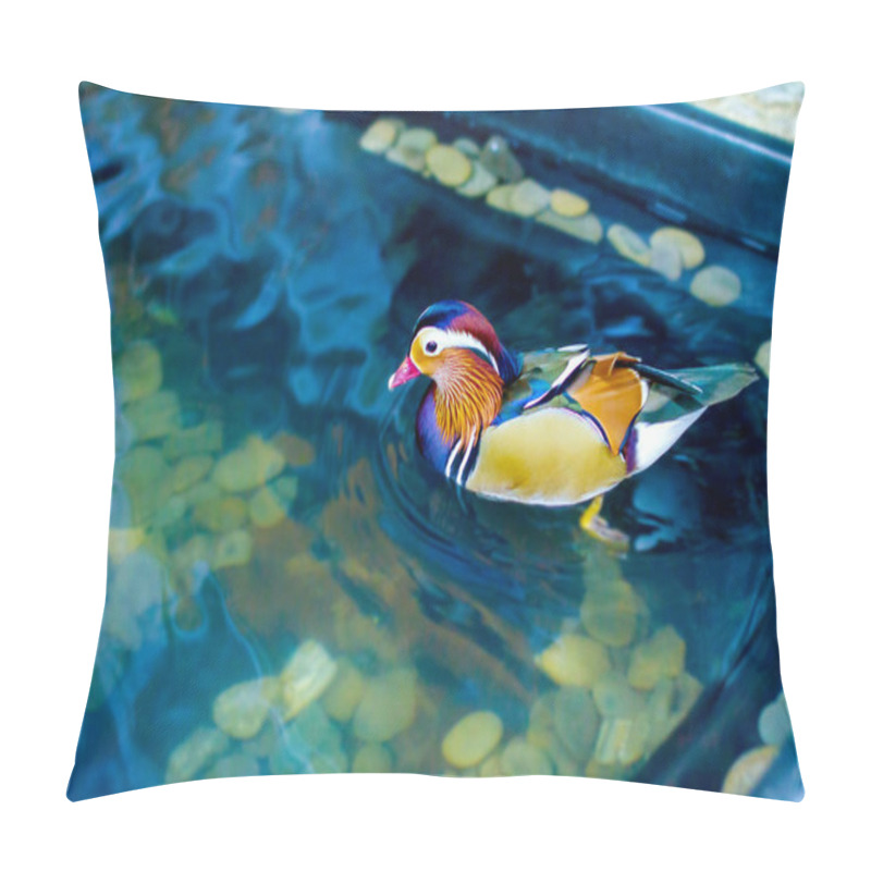 Personality  Male Mandarin Duck Swimming In A Pond Pillow Covers