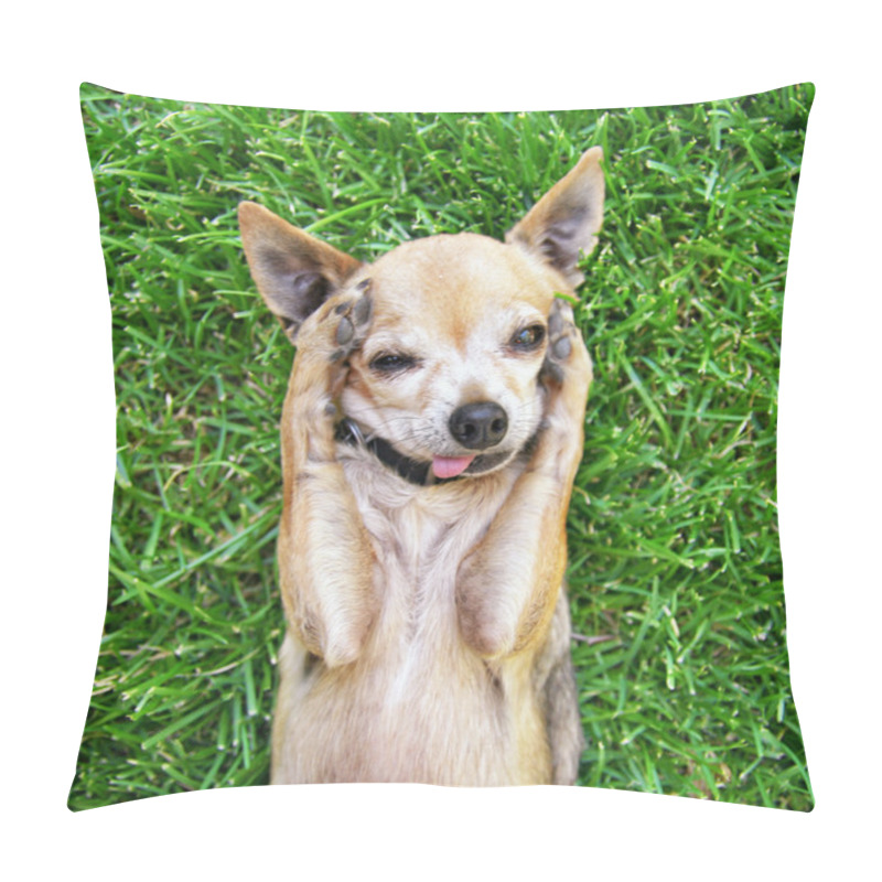 Personality  Cute Chihuahua Lying In Grass Pillow Covers